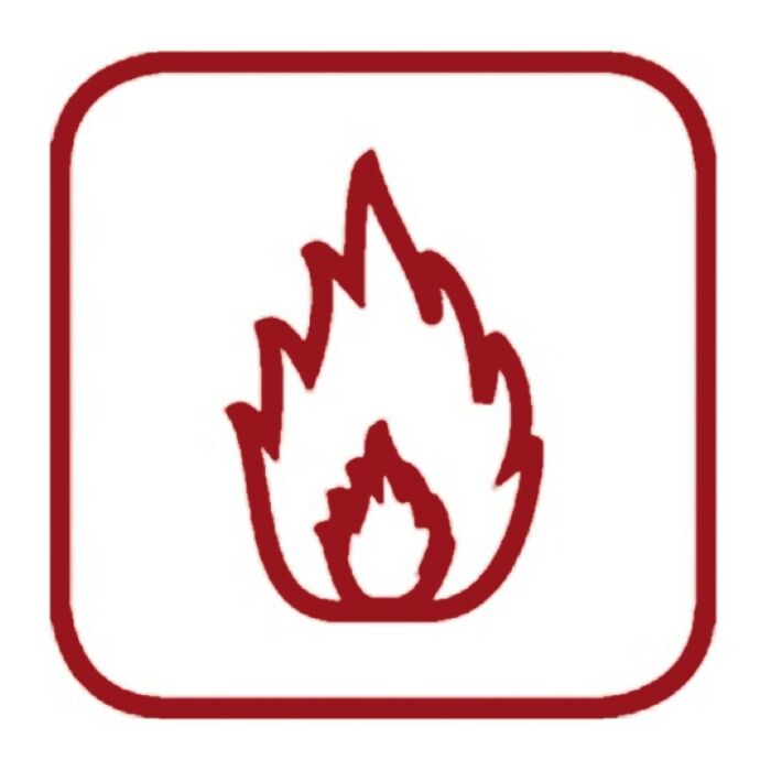 Mobotix AI-Fire App Mobotix AI-Fire App