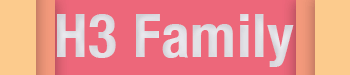 H3 Banner
