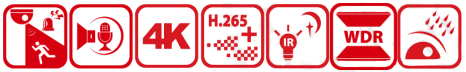 DS-2CD2386G2-ISU/SL