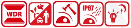 Hikvision DS-2CD2166G2-I(SU) Features